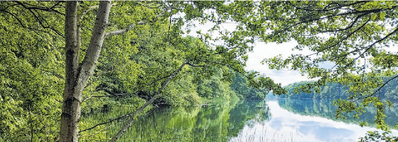 Ein Anziehungmagnet ist zu jeder Jahreszeit der Trebuser-See. Foto: Stefan Filensky