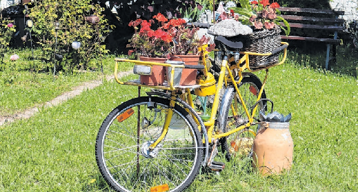 Ein Trend im Gronenfelder Weg? Geschmückte Räder auf Grundstücken, die zusammen eine kleine Fahrrad-Ausstellung bilden.