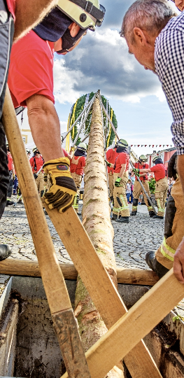 Darf bei einer Kerwa natürlich nicht fehlen: der Baum.