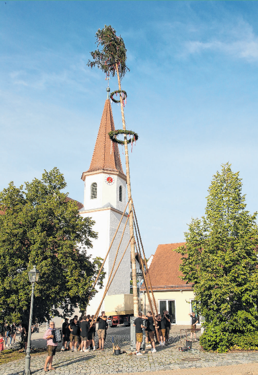 Der schmucke Kirchweihbaum wird auch heuer in der Ortsmitte von Brodswinden errichtet.