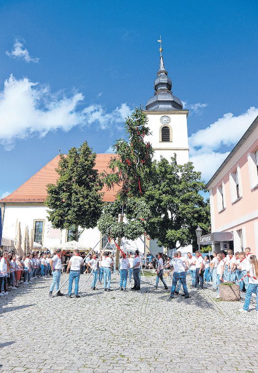 Am Kirchweihsamstag werden in diesem Jahr sogar zwei Kerwafichten in Burghaslach aufgestellt. Die Kinder starten um 13.30 Uhr und stellen zum ersten Mal eine eigene Fichte auf. Die Fichte der Kerwaburschen und -madli wird um 14 Uhr in die Senkrechte gebracht.