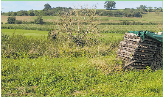 Kleinbäuerliche Strukturen sind die beste Gewähr für eine vielfältige Landschaft.