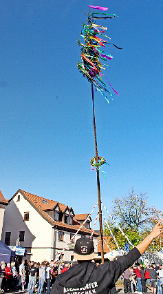 AVURFER BURSCHEN Darf bei keiner Kirchweih fehlen: der Kerwa-Baum.