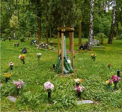 Auf besonderen Plätzen der Friedhöfe sind die Urnengräber strahlenförmig angelegt. Fotos: C. Röẞger