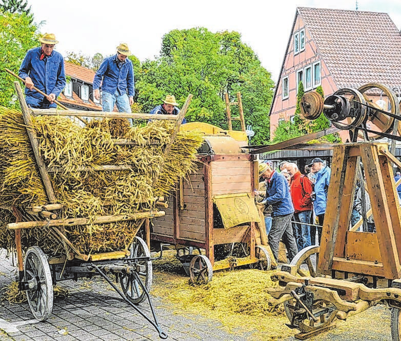 Ein Stück Tradition können die Besucher bei den Dreschvorführungen hautnah erleben.