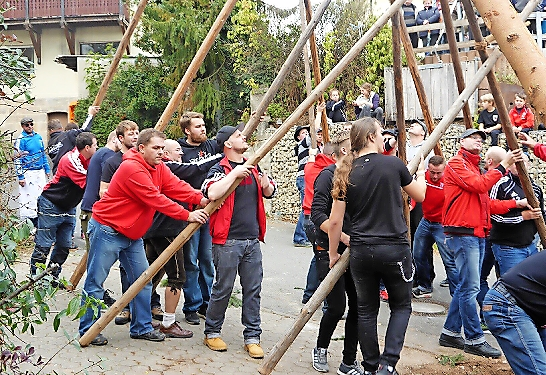 Am Samstag wird wieder der Kerwasbaum aufgestellt.