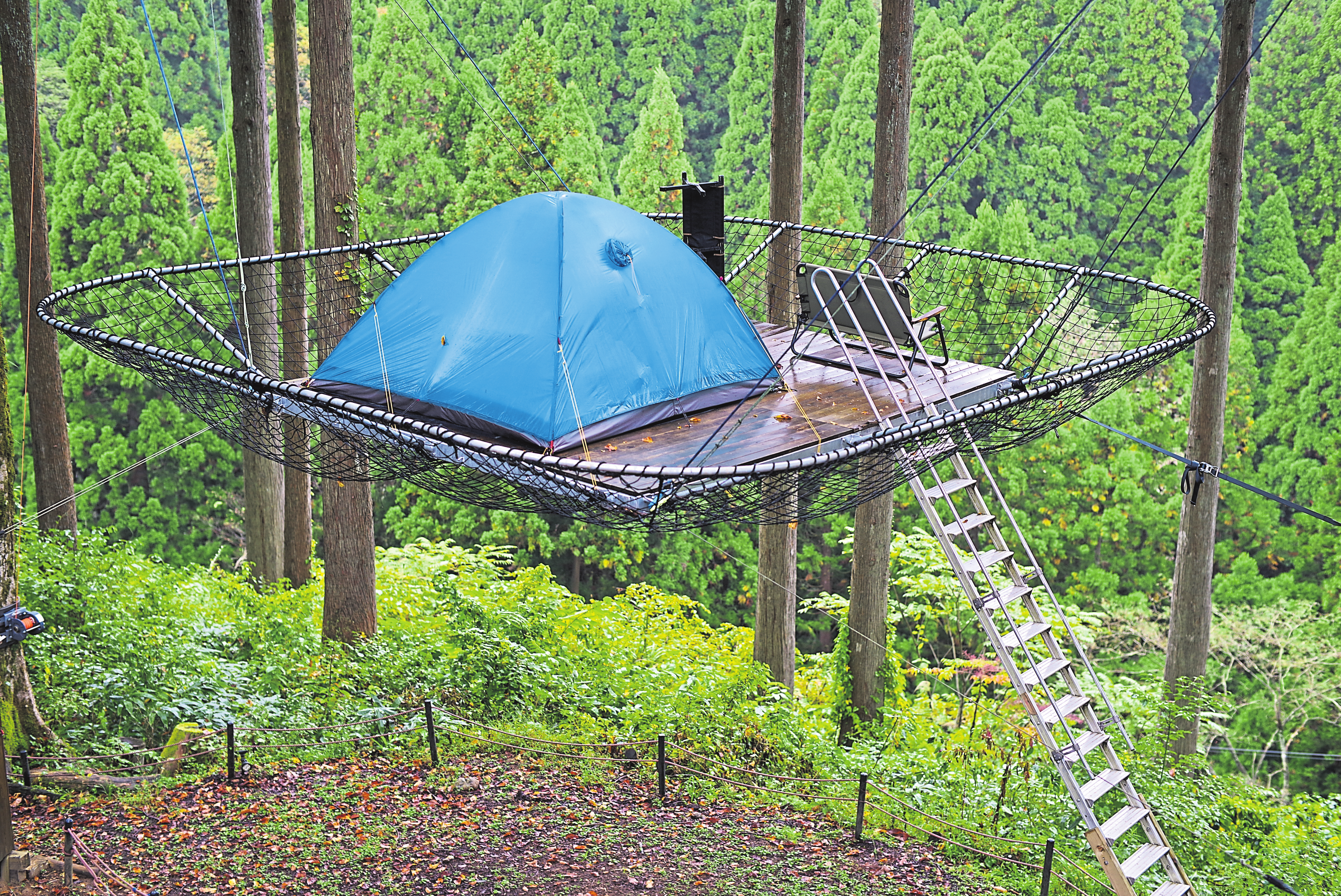 In luftiger Höhe übernachten: Tree tents sind unter Abenteurern beliebt.