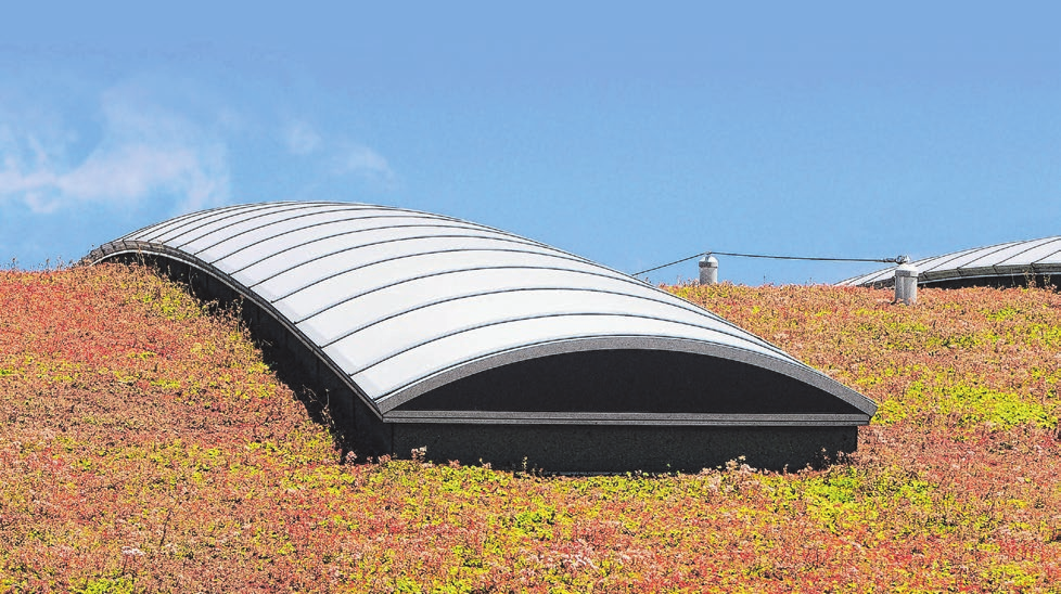 Für mehr Artenvielfalt und ein besseres Mikroklima: Viele Kommunen fördern die Dachbegrünung. Foto: djd/Paul Bauder