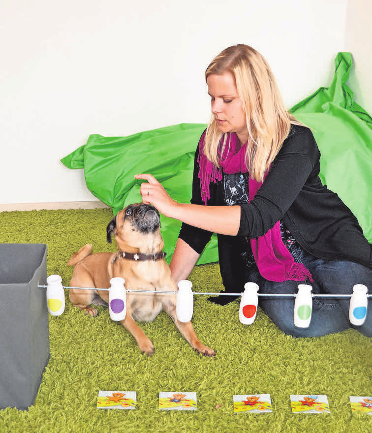 Carlito unterstützt Denise Wöhler als ausgebildeter Therapiehund. Fotos: A. Wiese (2)