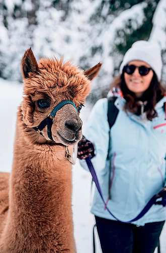 Foto: Waldviertel Tourismus