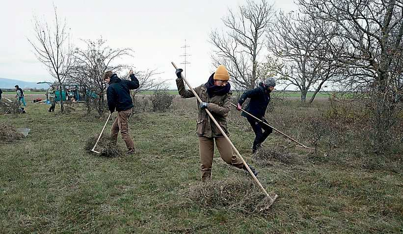 Engagierte Helfer bei der Trockenrasenpflege in Oberwaltersdorf. Foto: LPV/J. Fischer