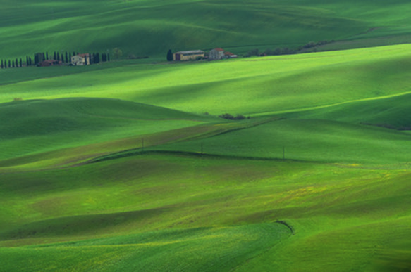 Bernd Hundertmark: 50 shades of green. © Bernd Hundertmark