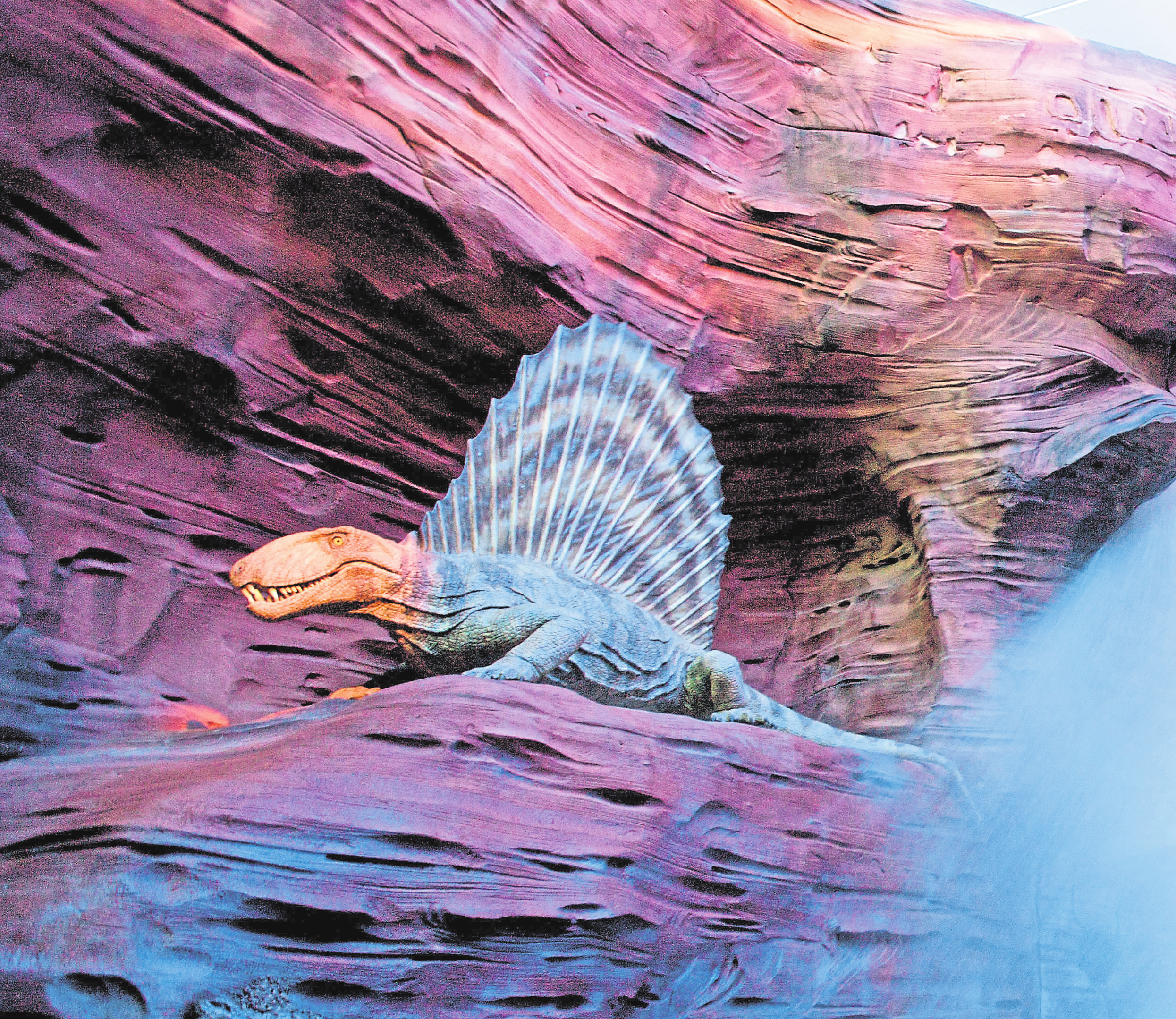 Der Dime trodon, ein fleischfressender Saunier, lebte während des Perms. Er starb vor über 250 Millionen Jahren aus.