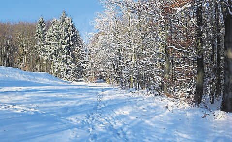 Winterspaziergang am Waldesrand bei Königshofen. Foto: Robert C. Mautz