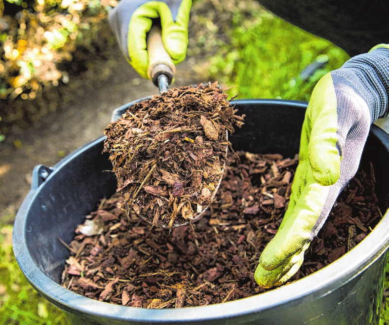 Frische kleine Pflänzchen brauchen ausreichend Wasser, um groß und stark zu werden. Fotos: djd/Medice/Adobe Stock/Halfpoint; Christin Klose/dpa-mag