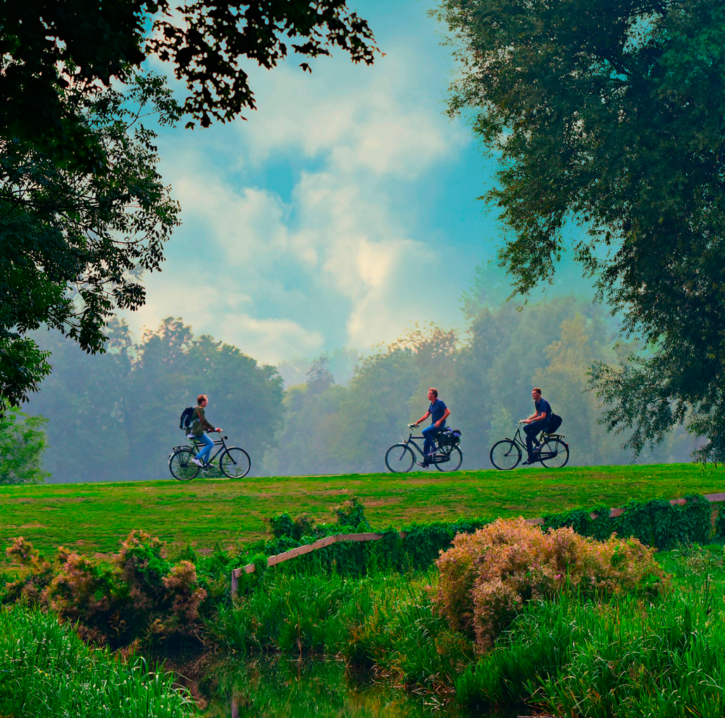 Das Fahrrad ist das „grüne" Fortbewegungsmittel schlechthin. Foto: Pixabay