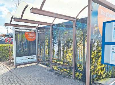 Bushaltestellen in Pirmasens und Zweibrücken sorgen für mehr Waldgefühl FOTO: ANTARES WERBEAGENTUR/GRATIS