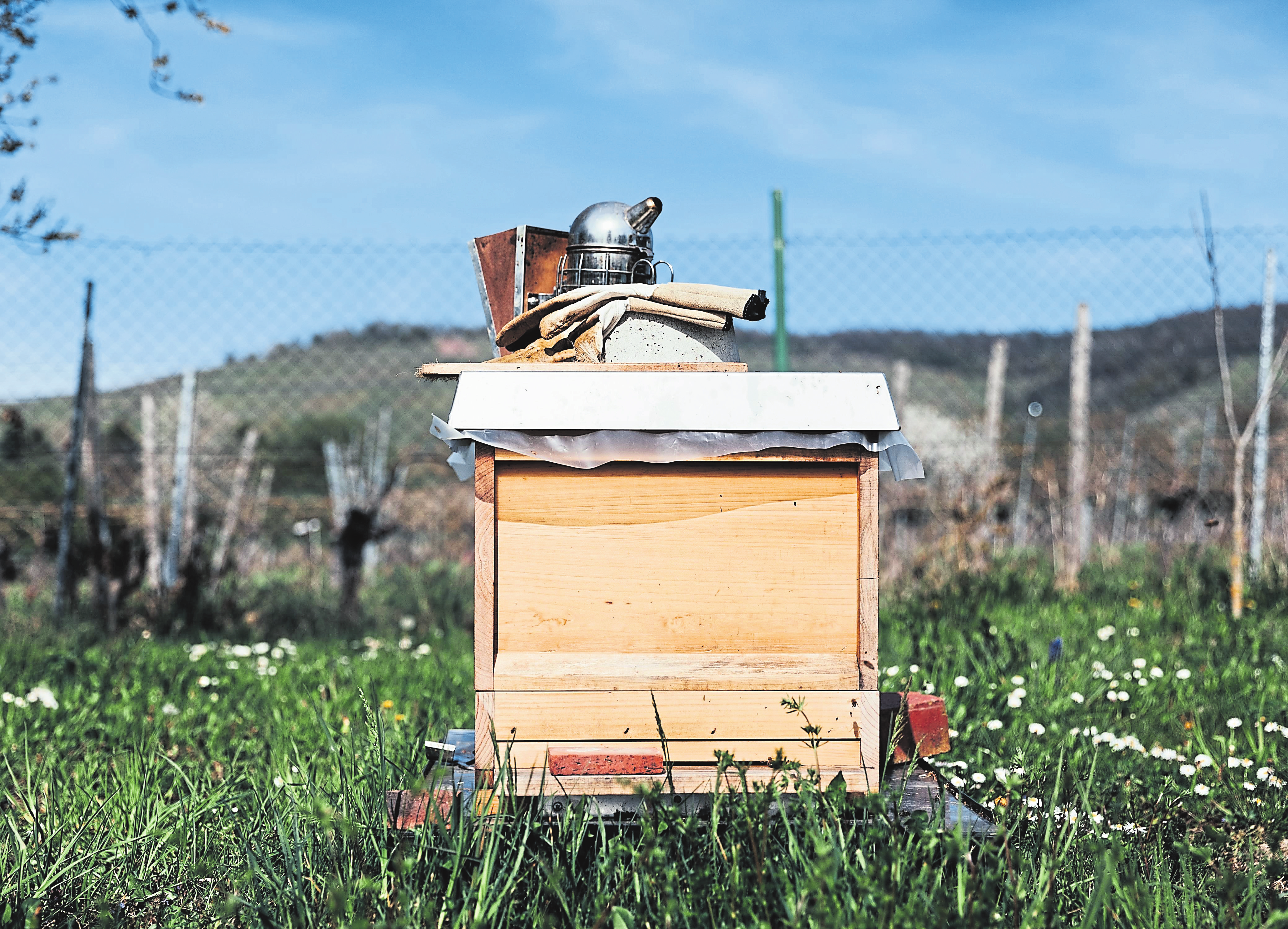 En plus de posséder le matériel de base adéquat, se lancer dans l'apiculture exige aussi de connaître la loi inhérente au domaine d'activité.