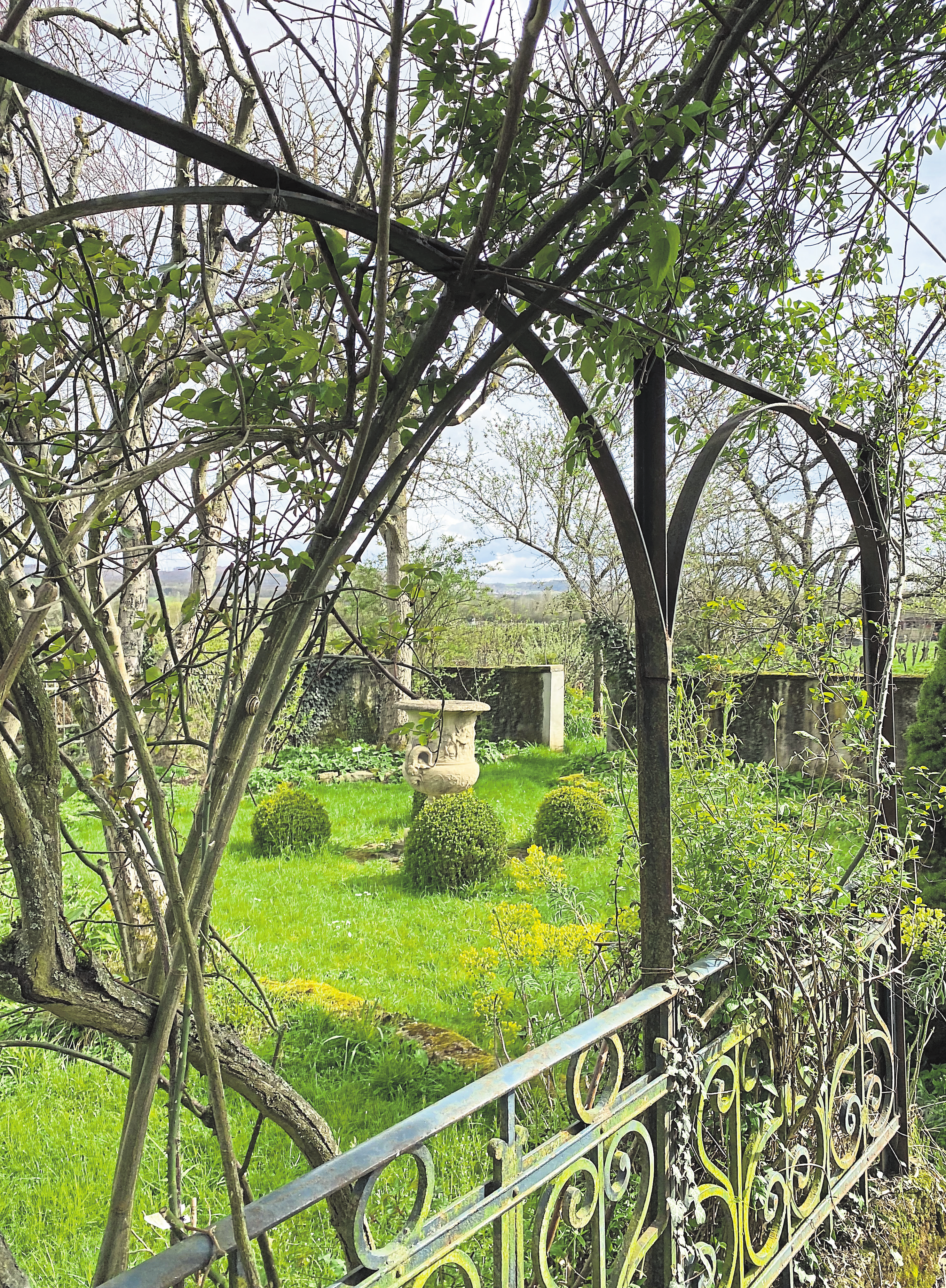 Le jardin sauvage est un endroit de rêve qui inspire, fascine et apaise les esprits. Deborah Rimi
