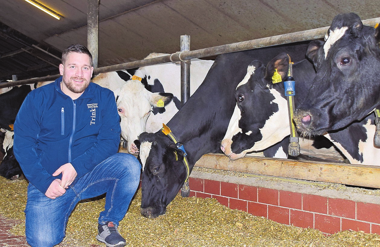 Es gibt viel zu tun auf dem Bauernhof an der Flaesheimer Straße: 120 Milchkühe wollen jeden Tag gemolken und versorgt werden. FOTOS (3) ARCHIV
