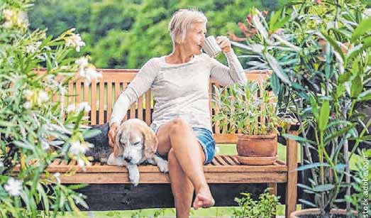 Inspirierendes für den Garten mit Pflanzen, Gemüse, Früchten und viel