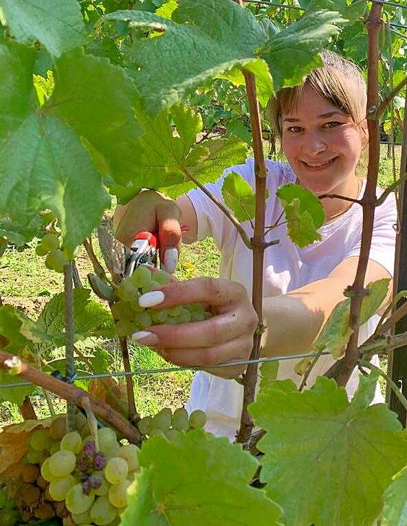 Die Freyburger Weinprinzessin hat in ihrer Amstzeit schon viele praktische Erfahrungen über den Weinanbau sammeln können. FOTO: PRIVAT
