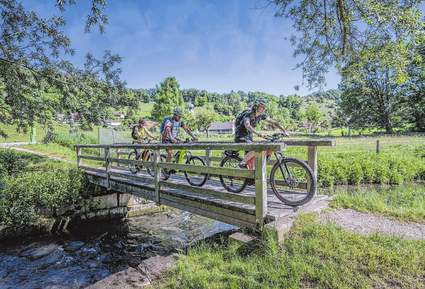 Raus ins Grüne und aktiv werden: Wer regelmäßig aufs Rad steigt, steigert seine Fitness. Foto: Steffen Steinhaeuser