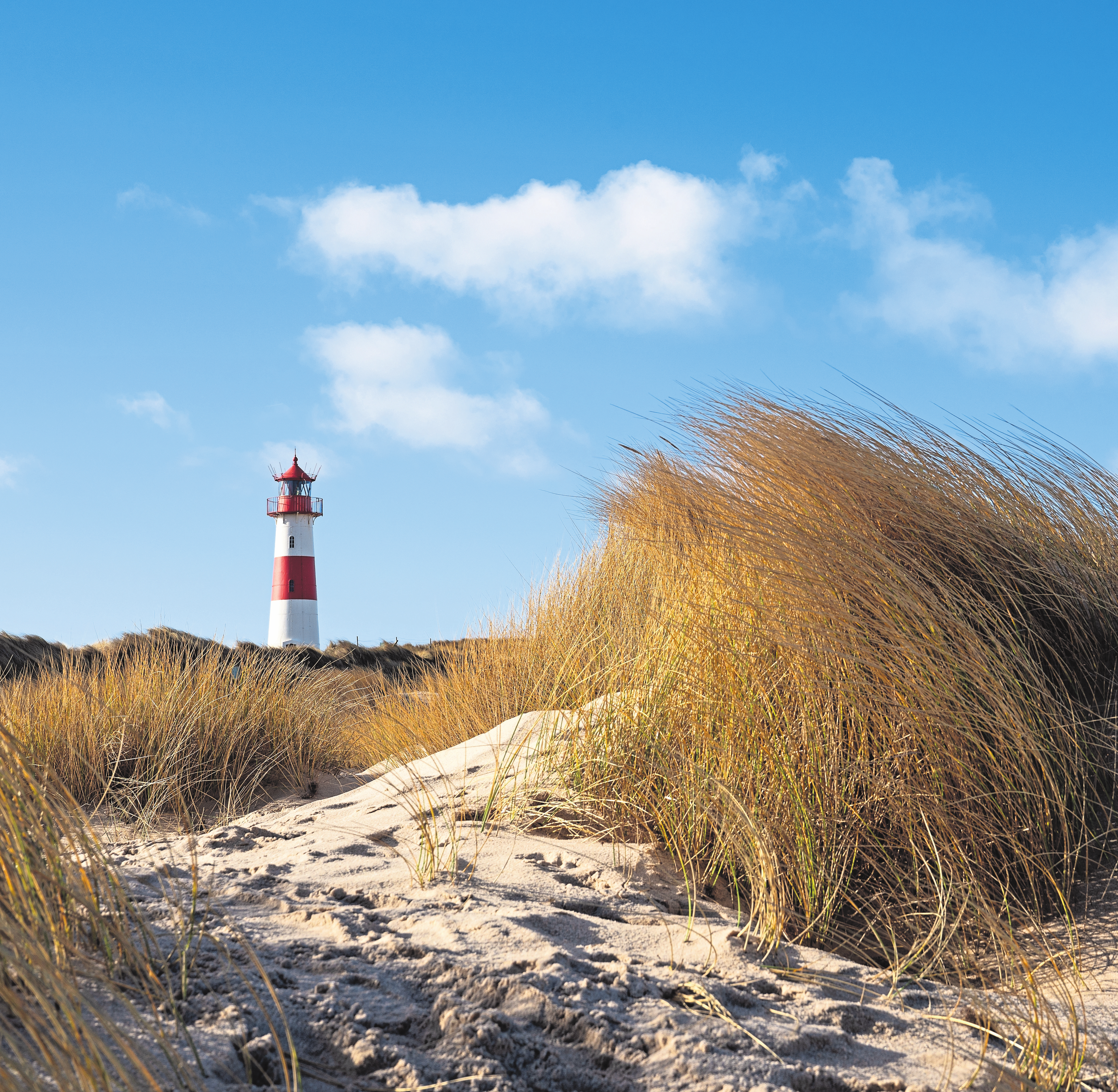 Auch weniger weit entfernte Ziele stehen auf dem Programm, wie etwa Ostfriesland. Fotos: Shutterstock