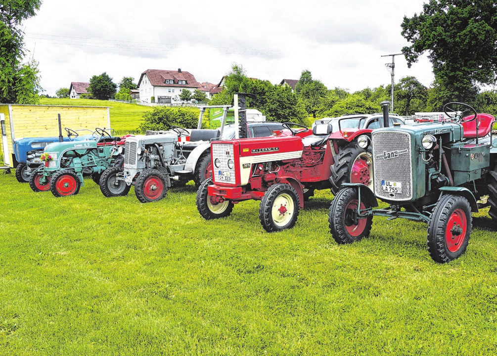 Vor und nach dem Umzug werden die altehrwürdigen Fahrzeuge auf der grünen Wiese geparkt und dürfen ausgiebig bestaunt werden.