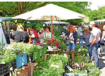 Im letzten Jahr kamen gut 2500 Besucher zum Bauern- und Gärtnermarkt nach Nünschweiler.