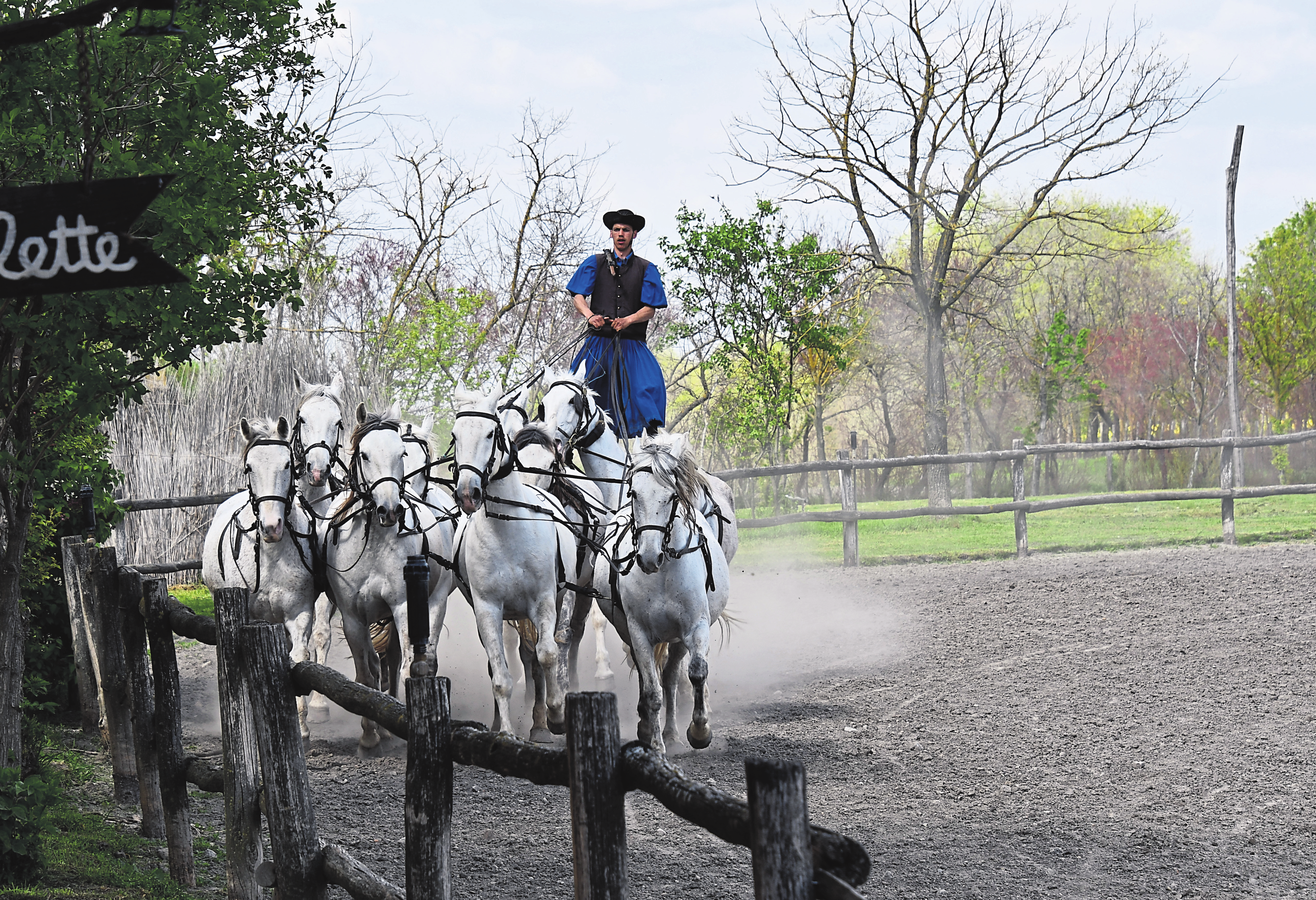Ausflug in die Puszta bei Bakodpuszta mit traditioneller ungarischer Ranch & Cowboy Show mit der Reitkunst mit einem Zehner-Gespann.