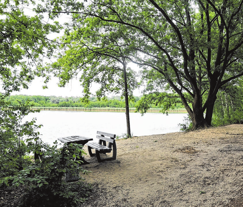 Touristischer Anziehungspunkt: In diesem Jahr konnte die Badestelle am Steckelsdorfer See fertiggestellt werden. Foto: Simone Weber