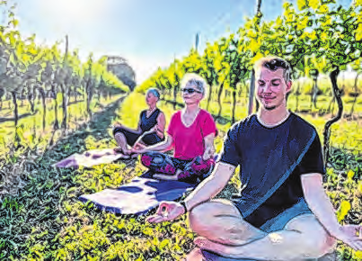 Der Weingarten bildet einen außergewöhnlichen Standort für Yoga. (privat)