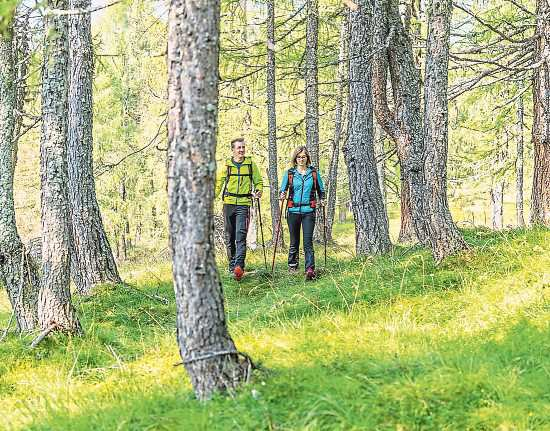 Waldbaden schenkt Erholung, stärkt Körper, Geist und Seele Foto: Daniel Zupanc