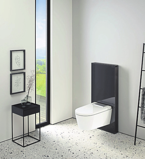 AUSWAHL: Sanitärmodule für die WC-Spülung gibt es in verschiedenen technischen Ausführungen und attraktiven Designvariandten. Foto: djd/Geberit