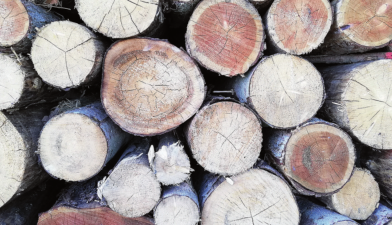 Auch der Holzverkauf im Deister ist für die Eigentümer ein Geschäft.