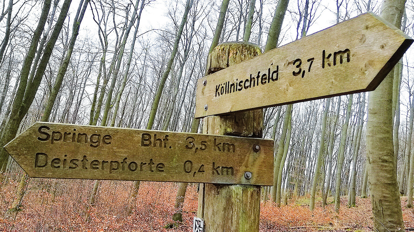 Beliebter Ort für Wanderer: Der Deister verfügt über ein großes Streckennetz.