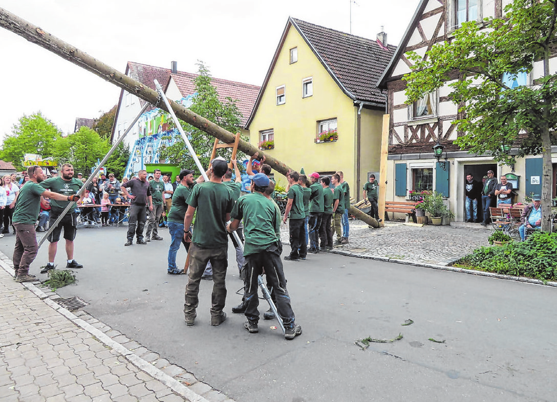 Die Kerwafichte wird am Samstag um 15 Uhr vor dem Gasthof „Zur Goldenen Traube“ in aufrechte Position gebracht. Fotos: Corinna Winter (2)