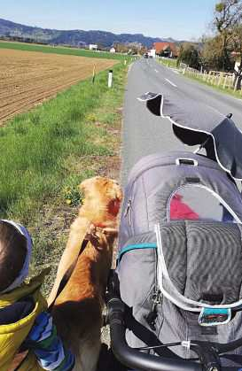 Von vielen Verkehrsteilnehmern ignoriert wird der Zebrastreifen in der Gemeinde Mühldorf. Foto: zvg