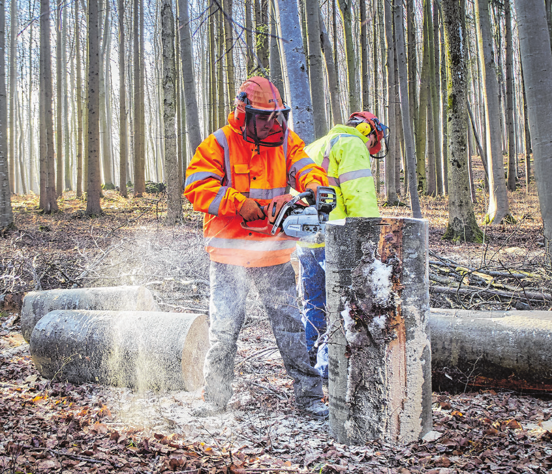 Gerade für Waldarbeiten sind eine gute Ausbildung und eine hochwertige (Schutz-)Ausrüstung unerlässlich. Lassen Sie sich von Ihren regionalen Experten beraten!