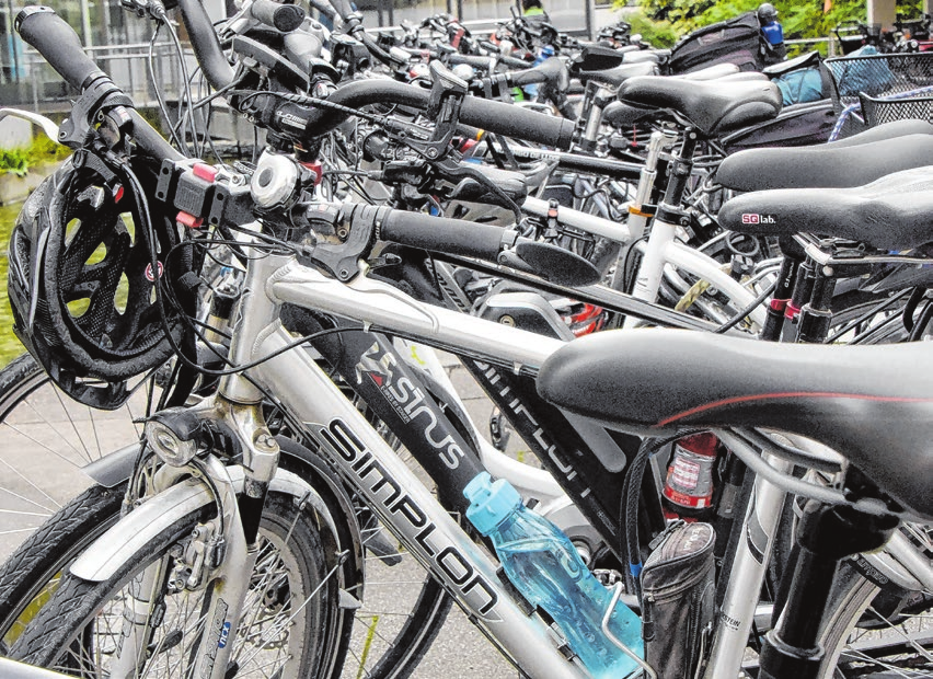 Schöne Herbsttage locken die Leute hinaus in die Natur - gerne ist man da auch mit dem Fahrrad unterwegs, erkundet die Region. Foto: Carola Eissler