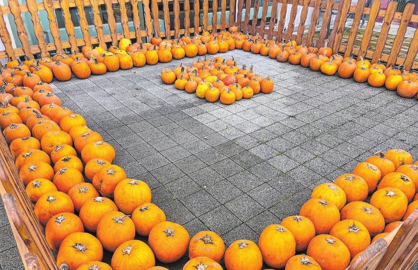 Kürbisse satt: Am 28. Oktober können Besucher kostenfrei Gesichter und Fratzen in das Fruchtgemüse schnitzen.