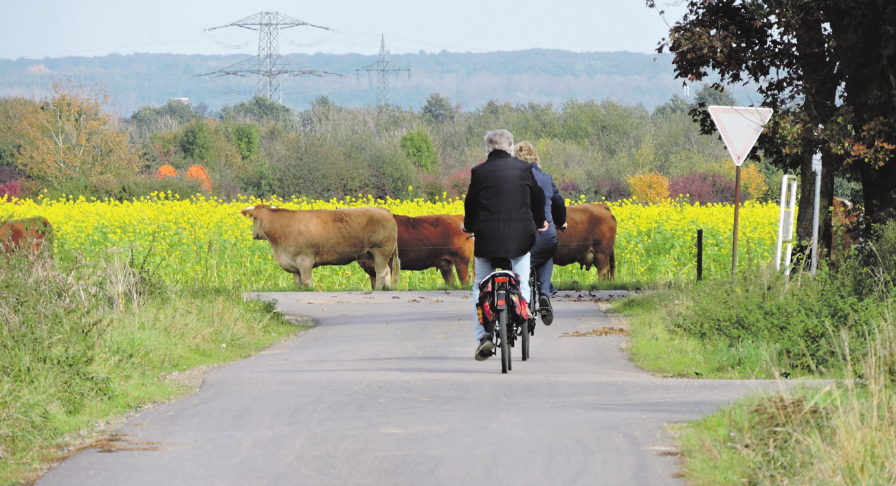 In Kerpen gibt es viele schöne Wege, auf denen man Radfahren kann. FOTOS: MARTINA THIELE-EFFERTZ