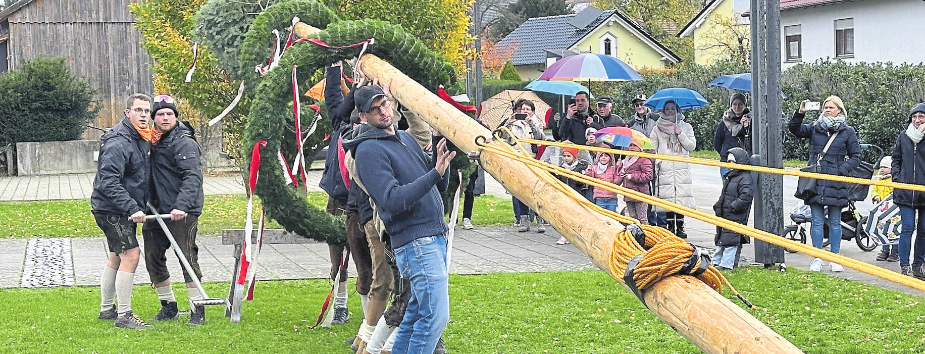 Beim Aufstellen des Kirmesbaumes saß mal wieder jeder Handgriff - die Schnüre hatten Spannung und alles war fachmännisch verknotet. Fotos: Mirko Luis