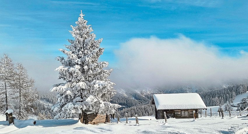 Mit den Öffis zum Wintersport ermöglicht stressfreies Schneevergnügen.