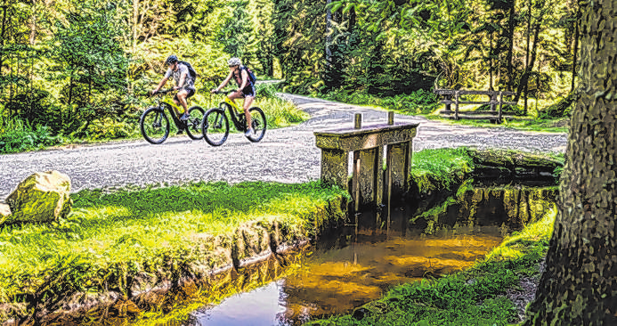 E-Mountainbiker bei der Schrollenbachschleuse am Schwarzenbergischen Schwemmkanal Foto: Ferienregion Böhmerwald/Justin Berlinger Fotografie