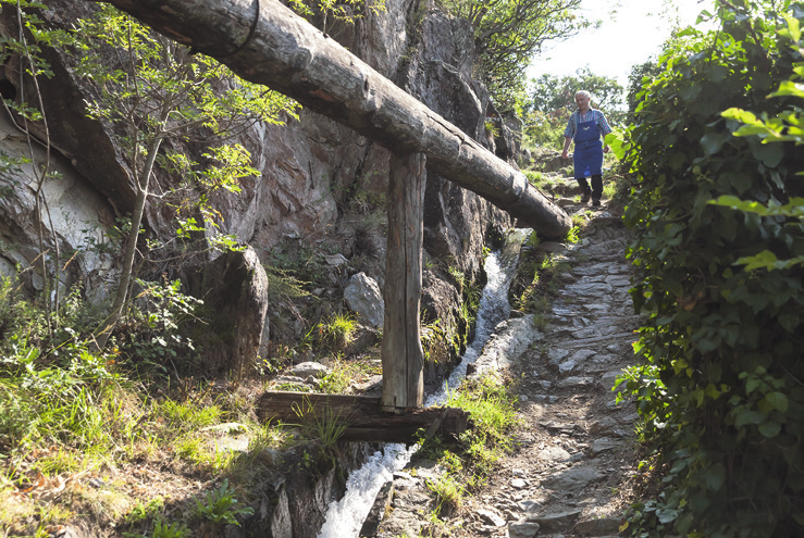 Foto: Tourismusregion Naturns