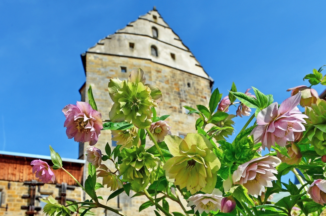 Das wunderschöne Schloss Thurnau bietet das passende Ambiente für den Lenzrosen- und Ostermarkt. FOTO: GEO-SELECT FOTOART
