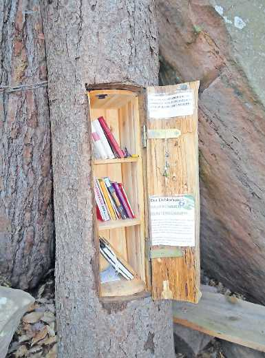 Ein ausgehöhlter Baum, der als kleiner Bücherschrank umfunktioniert wurde, lädt zum Schmökern und Verweilen einlädt. FOTO: MARKUS PACHER
