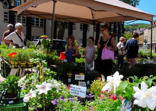 Nahtlos geht der Bauernmarkt in den von der Tourist, Kongress- und Saalbau GmbH (TKS) organisierten bunten Gartenmarkt mit etwa 50 Ständen über. FOTO: MARKUS PACHER